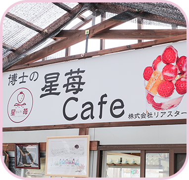 星苺Cafe
